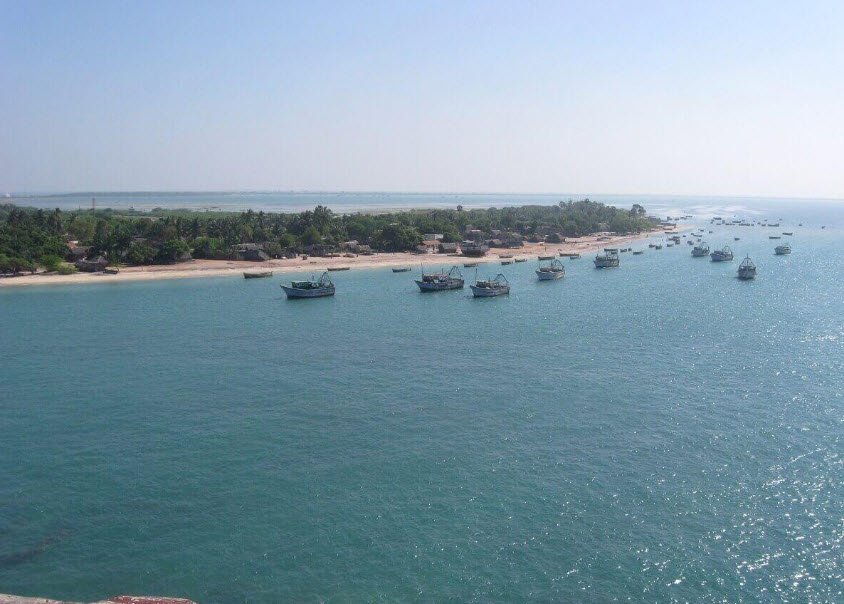 Gulf of Mannar Marine National Park, Thoothukudi (Tuticorin), Tamil Nadu - Vushii.com